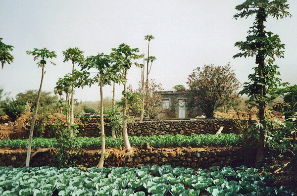 SaltoFarm_01